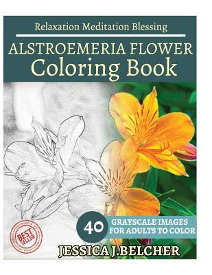 Download Alstroemeria Flower Coloring Book for Adults Relaxation Meditation Blessing: Sketches Coloring Book 40 Grayscale Images - Jessica Belcher file in ePub